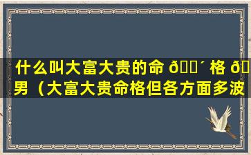 什么叫大富大贵的命 🐴 格 🦅 男（大富大贵命格但各方面多波折）